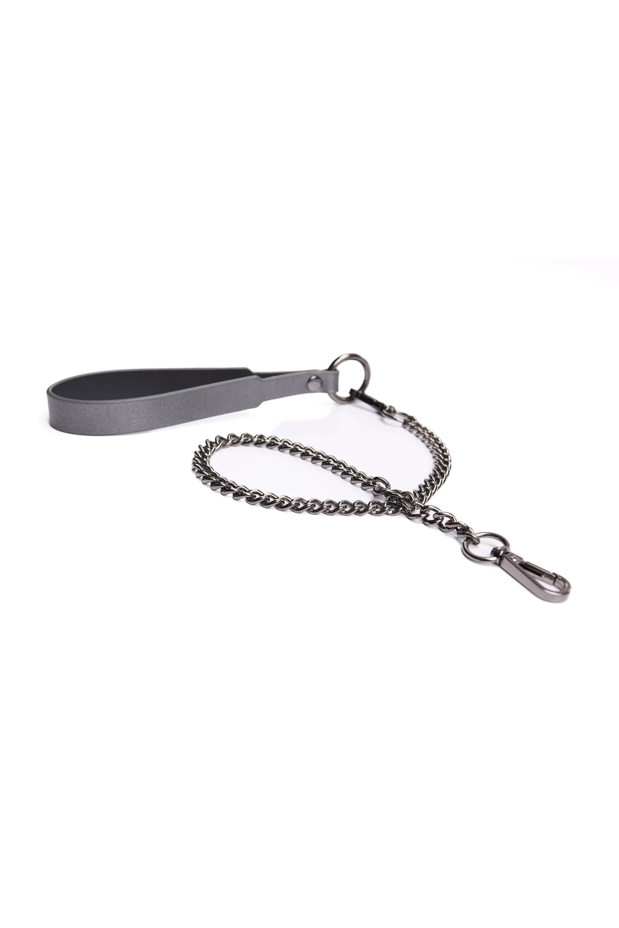 Gunmetal Glam Collar & Leash
